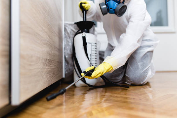 Best Flea Control Services  in Dallesport, WA