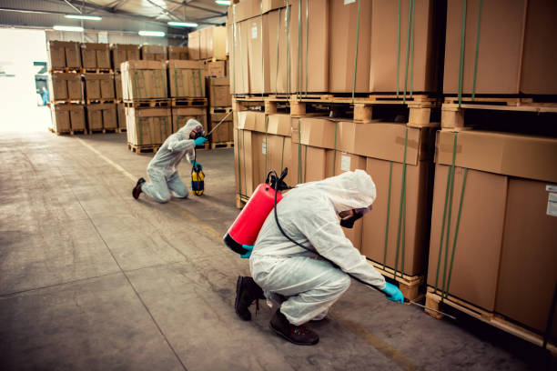 Wasp Removal Services in Dallesport, WA