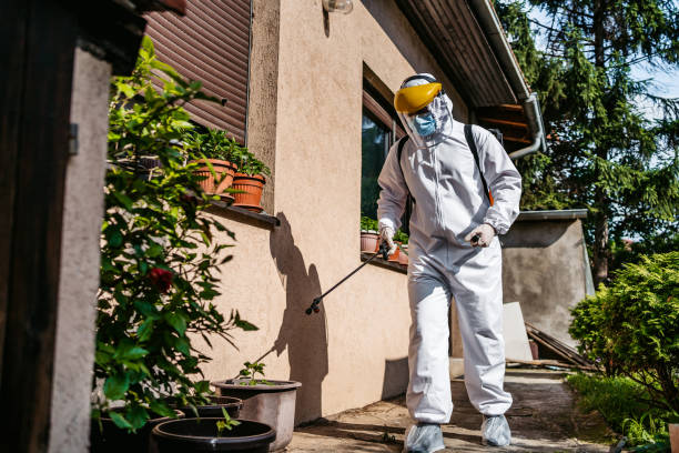 Best Bed Bug Extermination  in Dallesport, WA