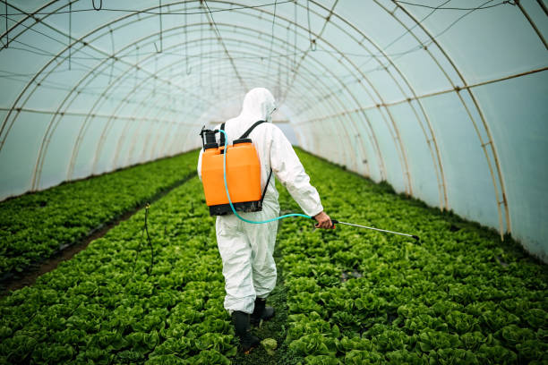 Best Best Pest Control Companies  in Dallesport, WA