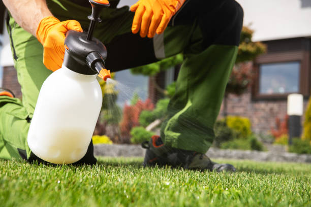Best Wasp Removal Services  in Dallesport, WA