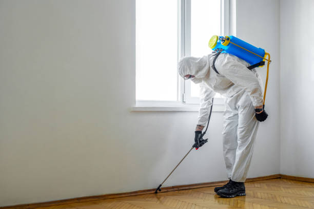 Best Exterminator Services  in Dallesport, WA