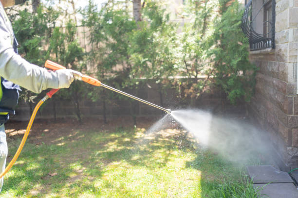Best Affordable Pest Control Services  in Dallesport, WA