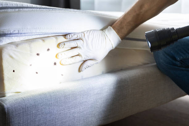 Dallesport, WA Pest Control Company