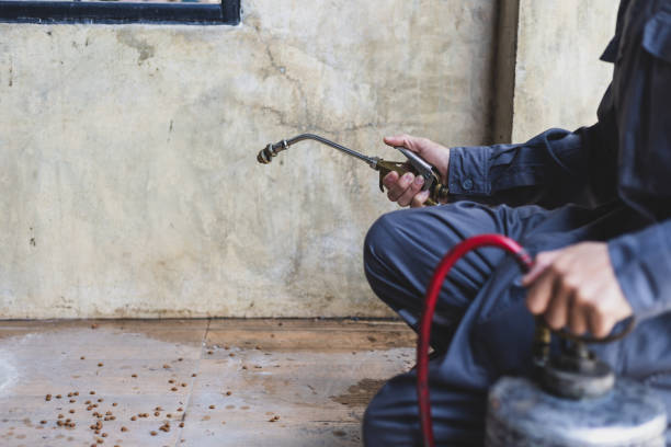 Best Affordable Pest Control Services  in Dallesport, WA
